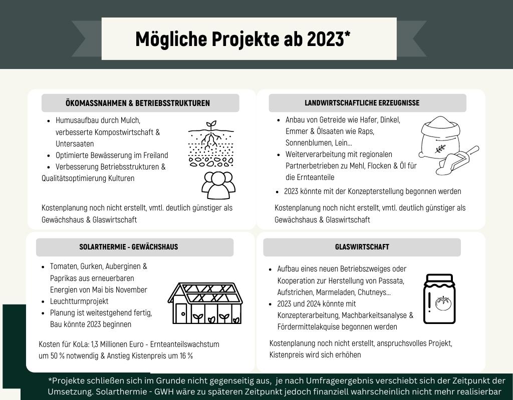 Die 4 verschiedenen möglichen Projekte für 2023 als Infografik zusammengefasst