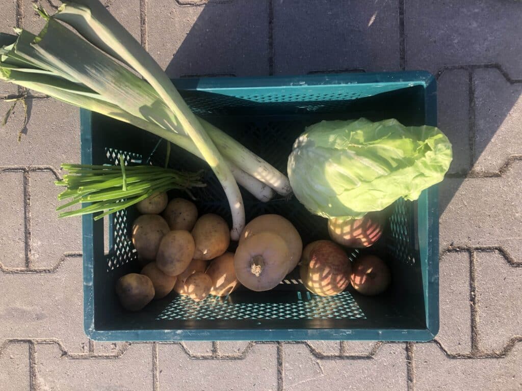 Ernteanteil S KW 10 KoLa Leipzig