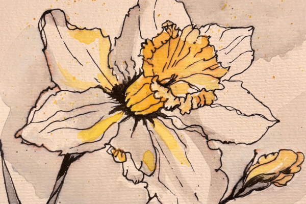 KoLa & Biophilja laden zum Osterspaziergang ein