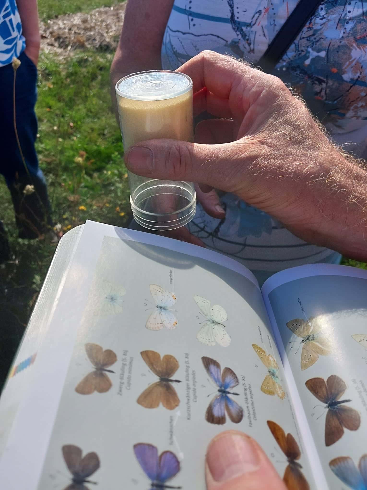 dac935ba-805d-493b-bac5-6b25b902fcae