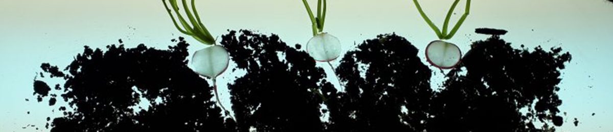 header-genosenschaft header-genosenschaft